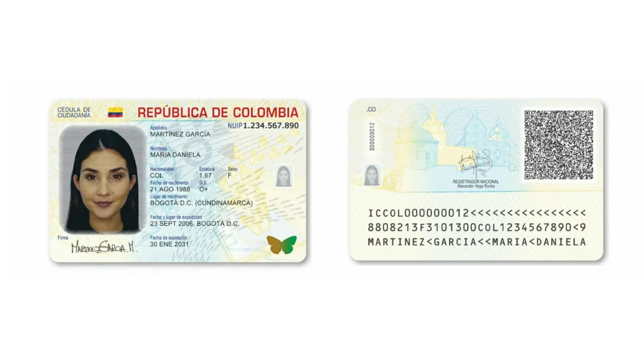 imagen dada